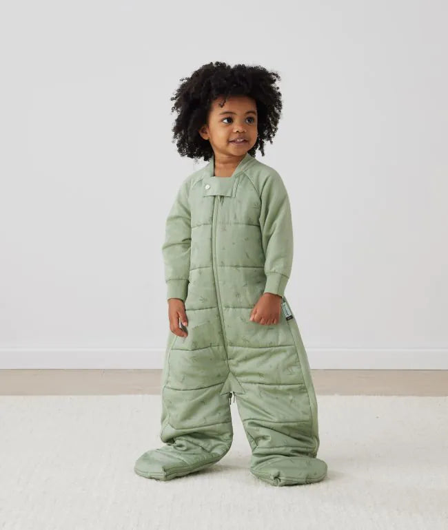 Sleep Suit Bag 2.5 Tog, Cute Fruit / 3-12 M