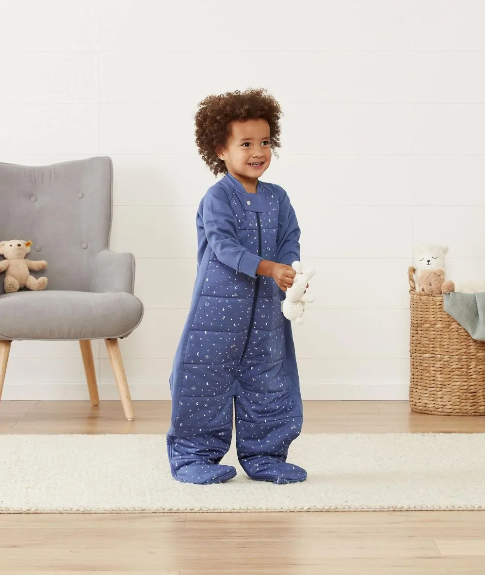 ergoPouch Sleep Suit Bag 2.5 TOG KIDS BANDWAGON