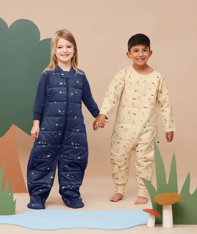 ergoPouch Sleep Onesie 2.5 TOG KIDS BANDWAGON
